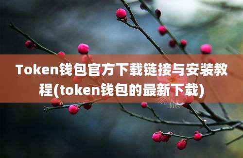 Token钱包官方下载链接与安装教程(token钱包的最新下载)