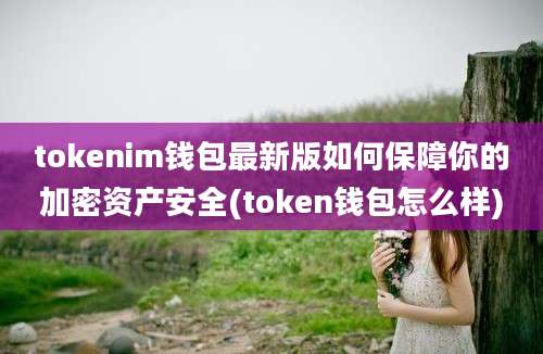 tokenim钱包最新版如何保障你的加密资产安全(token钱包怎么样)