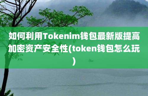 如何利用Tokenim钱包最新版提高加密资产安全性(token钱包怎么玩)