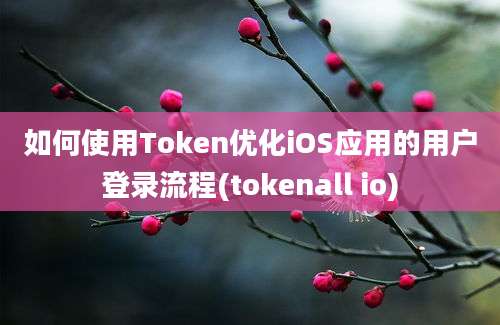 如何使用Token优化iOS应用的用户登录流程(tokenall io)