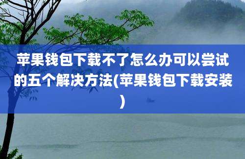 苹果钱包下载不了怎么办可以尝试的五个解决方法(苹果钱包下载安装)