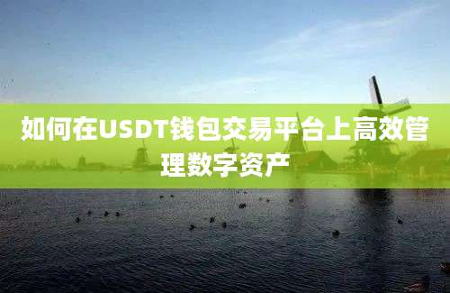 如何在USDT钱包交易平台上高效管理数字资产