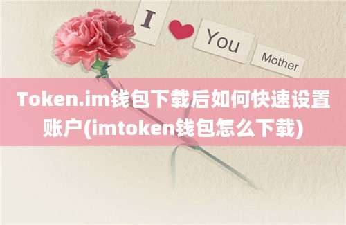 Token.im钱包下载后如何快速设置账户(imtoken钱包怎么下载)