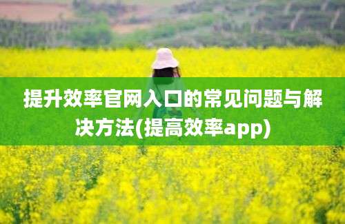 提升效率官网入口的常见问题与解决方法(提高效率app)