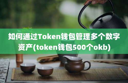 如何通过Token钱包管理多个数字资产(token钱包500个okb)