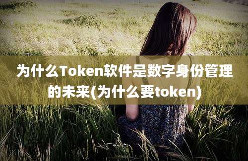 为什么Token软件是数字身份管理的未来(为什么要token)