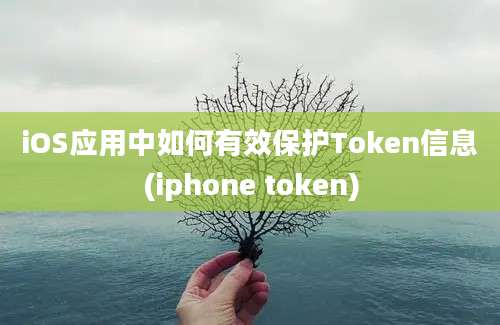 iOS应用中如何有效保护Token信息(iphone token)