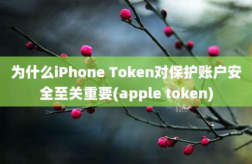 为什么iPhone Token对保护账户安全至关重要(apple token)