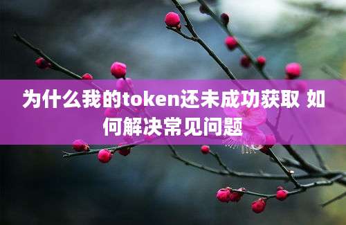 为什么我的token还未成功获取 如何解决常见问题