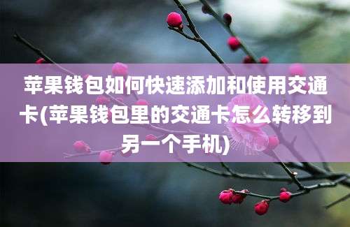 苹果钱包如何快速添加和使用交通卡(苹果钱包里的交通卡怎么转移到另一个手机)