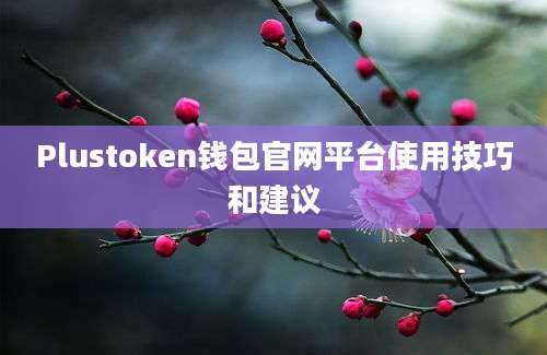 Plustoken钱包官网平台使用技巧和建议