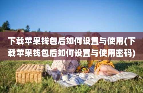 下载苹果钱包后如何设置与使用(下载苹果钱包后如何设置与使用密码)