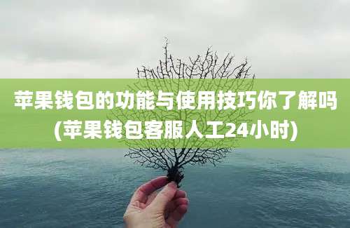 苹果钱包的功能与使用技巧你了解吗(苹果钱包客服人工24小时)