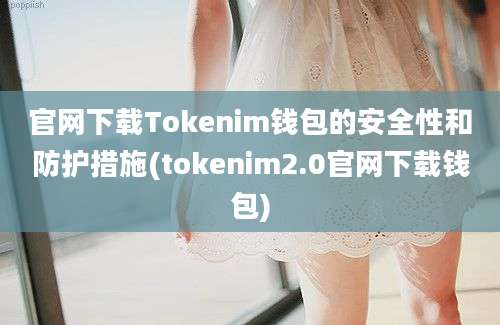 官网下载Tokenim钱包的安全性和防护措施(tokenim2.0官网下载钱包)