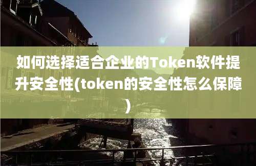 如何选择适合企业的Token软件提升安全性(token的安全性怎么保障)