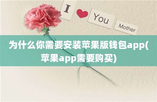 为什么你需要安装苹果版钱包app(苹果app需要购买)