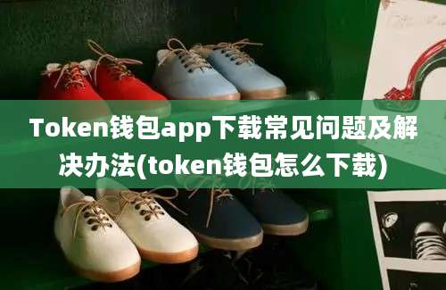 Token钱包app下载常见问题及解决办法(token钱包怎么下载)