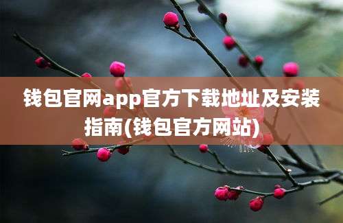 钱包官网app官方下载地址及安装指南(钱包官方网站)