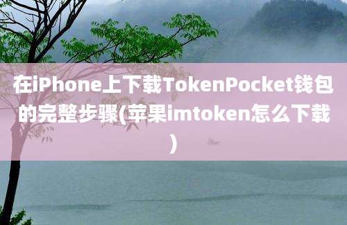 在iPhone上下载TokenPocket钱包的完整步骤(苹果imtoken怎么下载)