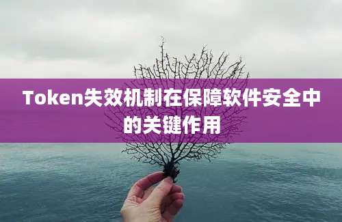 Token失效机制在保障软件安全中的关键作用