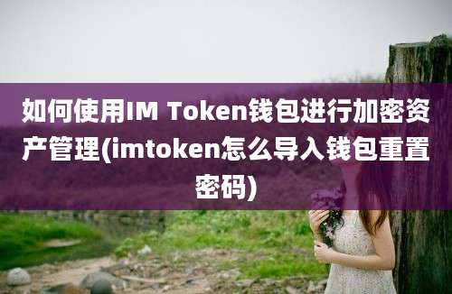 如何使用IM Token钱包进行加密资产管理(imtoken怎么导入钱包重置密码)