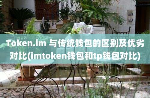 Token.im 与传统钱包的区别及优劣对比(imtoken钱包和tp钱包对比)