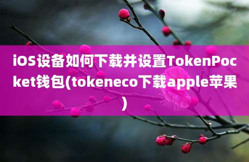 iOS设备如何下载并设置TokenPocket钱包(tokeneco下载apple苹果)