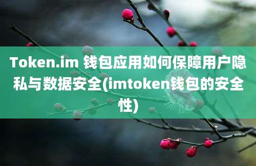 Token.im 钱包应用如何保障用户隐私与数据安全(imtoken钱包的安全性)