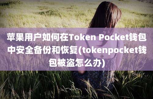 苹果用户如何在Token Pocket钱包中安全备份和恢复(tokenpocket钱包被盗怎么办)