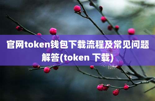 官网token钱包下载流程及常见问题解答(token 下载)