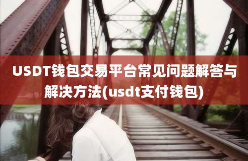 USDT钱包交易平台常见问题解答与解决方法(usdt支付钱包)