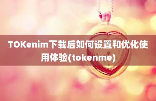 TOKenim下载后如何设置和优化使用体验(tokenme)