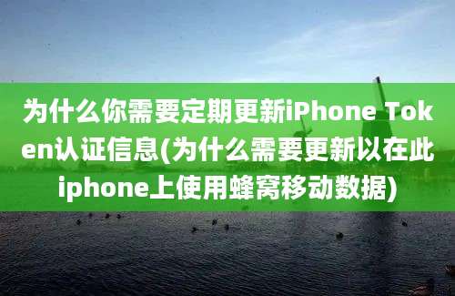 为什么你需要定期更新iPhone Token认证信息(为什么需要更新以在此iphone上使用蜂窝移动数据)