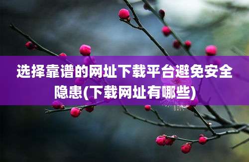 选择靠谱的网址下载平台避免安全隐患(下载网址有哪些)