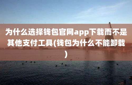 为什么选择钱包官网app下载而不是其他支付工具(钱包为什么不能卸载)