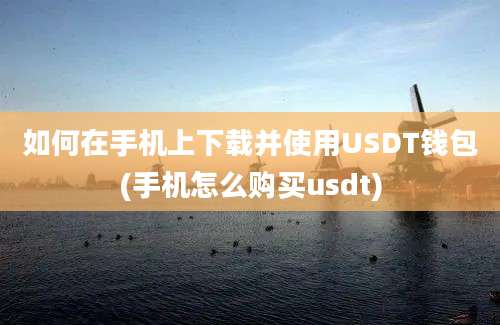 如何在手机上下载并使用USDT钱包(手机怎么购买usdt)