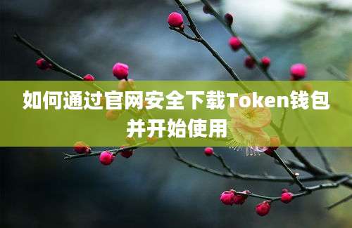 如何通过官网安全下载Token钱包并开始使用