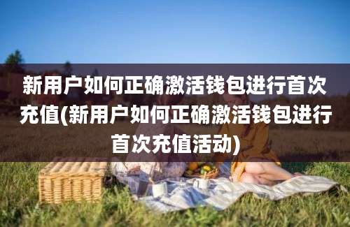 新用户如何正确激活钱包进行首次充值(新用户如何正确激活钱包进行首次充值活动)