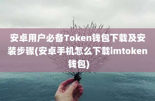 安卓用户必备Token钱包下载及安装步骤(安卓手机怎么下载imtoken 钱包)