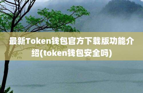 最新Token钱包官方下载版功能介绍(token钱包安全吗)