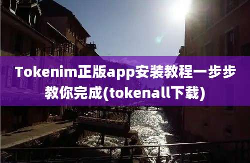 Tokenim正版app安装教程一步步教你完成(tokenall下载)