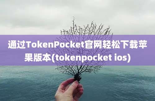 通过TokenPocket官网轻松下载苹果版本(tokenpocket ios)