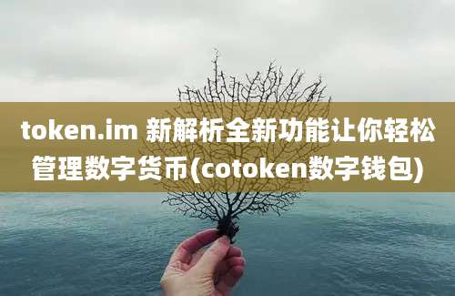 token.im 新解析全新功能让你轻松管理数字货币(cotoken数字钱包)