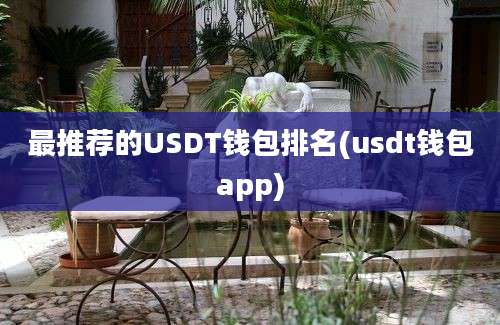 最推荐的USDT钱包排名(usdt钱包app)