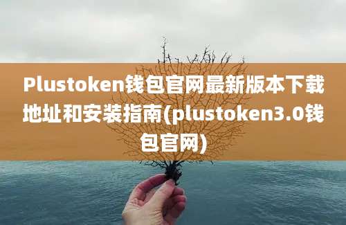 Plustoken钱包官网最新版本下载地址和安装指南(plustoken3.0钱包官网)