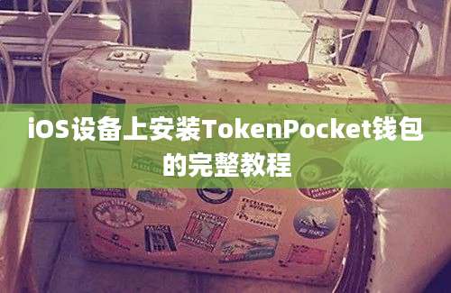 iOS设备上安装TokenPocket钱包的完整教程