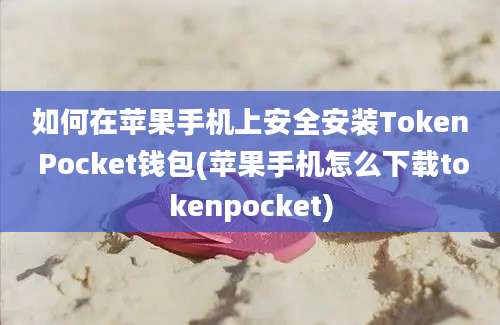 如何在苹果手机上安全安装Token Pocket钱包(苹果手机怎么下载tokenpocket)