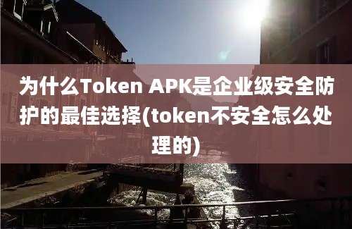 为什么Token APK是企业级安全防护的最佳选择(token不安全怎么处理的)