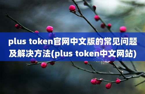 plus token官网中文版的常见问题及解决方法(plus token中文网站)