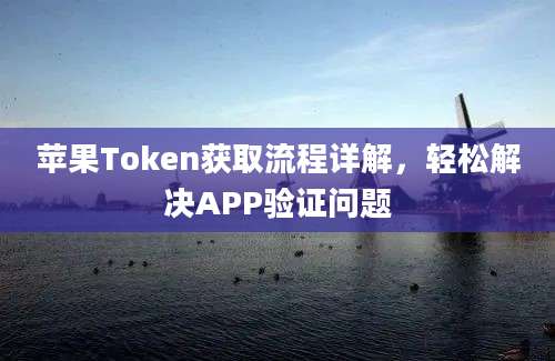 苹果Token获取流程详解，轻松解决APP验证问题